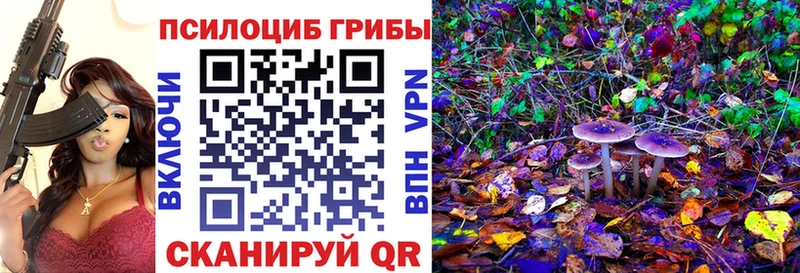 ссылка на мегу   Бологое  Псилоцибиновые грибы мицелий  как найти  